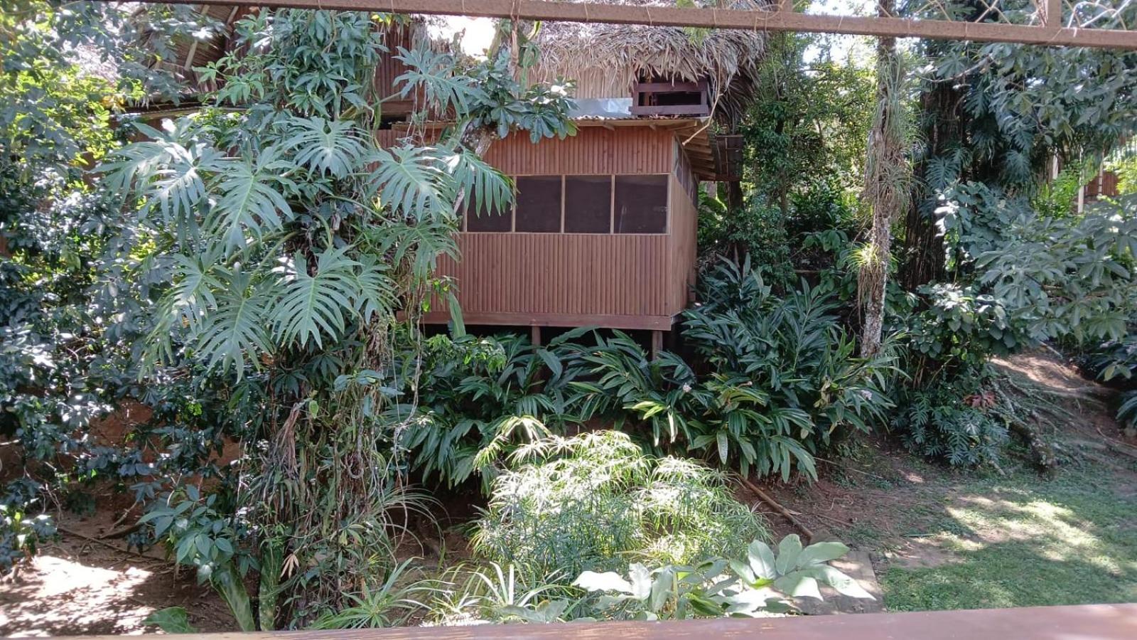 Tortugal Boutique River Lodge Rio Dulce Town Dış mekan fotoğraf